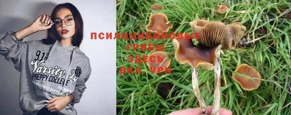 a pvp Володарск