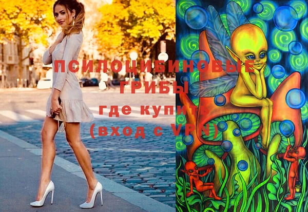 a pvp Володарск
